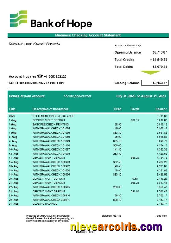 Bank of Hope company checking account statement